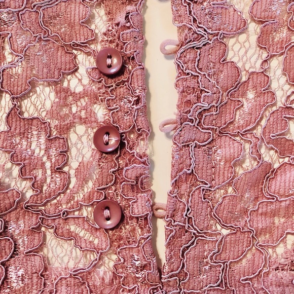 Blushing Pink Sheer Lace Top - Picture 5 of 6